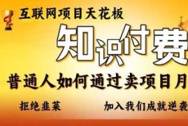 互联网项目天花板，知付付费项目，普通人如何通过卖项目月入十个，拒绝韭菜【揭秘】