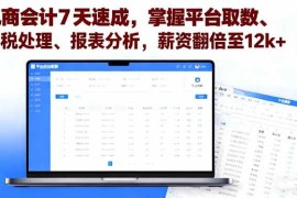 （16192期）电商会计7天速成，掌握平台取数、财税处理、报表分析，薪资翻倍至12k 