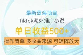 最新蓝海项目，利用tiktok海外推广小说赚钱佣金，简单易学，日入500 ，可矩阵放大【揭秘】