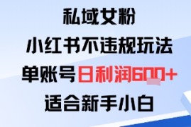 私域女粉：小红书平台不违规玩法单账号日利润6张 适合新手小白