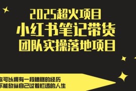2025超火项目，副业最佳选择，小红书笔记带货团队实操落地项目，，轻松日入5张