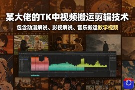 某大佬的TK中视频搬运剪辑技术，包含动漫解说、影视解说、音乐搬运教学视频