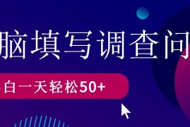 无脑填写问卷调查，无脑操作，一天撸50＋