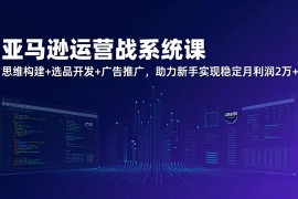 亚马逊运营实战系统课，思维构建 选品开发 广告推广，助力新手实现稳定月利润2万 (更新