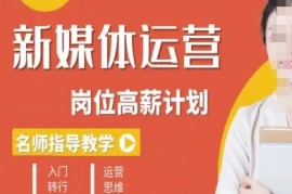 新媒体运营高薪升核培养计划，入门-转行-进阶