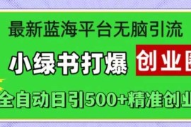 最新蓝海平台无脑引流，小绿书打爆创业圈，全自动日引500 精准创业粉