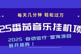 2025最新挂机番茄音乐项目，每天几分钟，日入1000＋