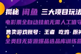 闲鱼三种玩法 全自动电影票 售卖游戏账号 爆品选品库训练营