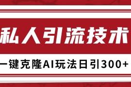 抖音，小红书，视频号野路子引流玩法截流自热一体化日引500 精准粉 单日变现3000 