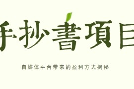 手抄书项目，一天赚上百的副业！自媒体平台带来的盈利方式揭秘【附软件】