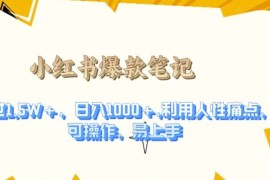 利用人性的痛点，打造爆款笔记，获得点赞超过1.5W ，日入1k【揭秘】