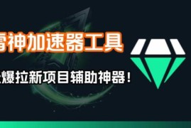 雷神加速器项目模拟器_无脑1分钟1条视频矩阵_疯狂报单打法【焚诀】