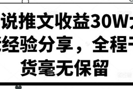 小说推文收益30W大佬经验分享，全程干货毫无保留