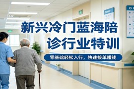 新兴冷门蓝海陪诊行业特训，零基础轻松入行，快速接单赚钱