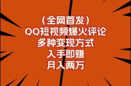 全网首发，QQ短视频爆火评论，多种变现方式入手即赚，月入两万