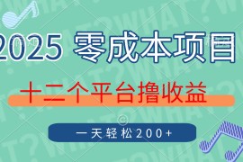 2025年零成本项目，十二个平台撸收益，单号一天轻松200 