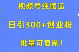 （10186期）批量可复制！视频号纯搬运日引300 创业粉教程！
