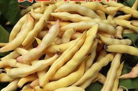 三星w539(三星w599哪年上市的)