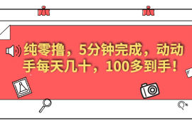 美添赚纯零撸项目，动动手 5 分钟完成，每天几十到 100 多