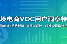 跨境电商VOC用户洞察特训：价值剖析 链路拆解 标签树设计，精准读懂海外用户