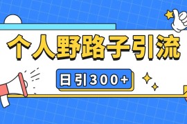 个人野路子引流日引300 精准客户，暴力截流玩法 克隆自热