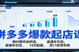 拼多多爆款起店课：微付费炸自然流，直通车引流，14天起量，双11旺季布局