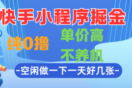 快手小程序掘金，纯0撸，单价高不养机，利用空闲时间做一做，一天好几张