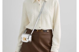 vega手机(vega手机 the cable is connected)