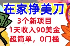 3个新项目，1天收入90美刀，超简单，0门槛，在家挣美刀的首选