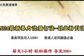 （10151期）2024年最新暴力流量打法，每日导入300 ，靠卖项目月入10W 