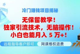 （11864期）冷门赚钱项目无保留教学！独家引流技术，无脑操作！小白也能月入5万 ！