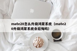 mate20怎么升级鸿蒙系统（mate20升级鸿蒙系统会后悔吗）