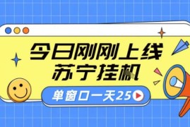 苏宁全自动采集挂G项目 稳定可批量 单窗口收益30  附教程【揭秘】