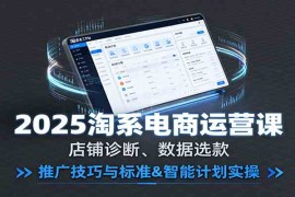 2025淘系电商运营课：店铺诊断、数据选款，推广技巧与标准
