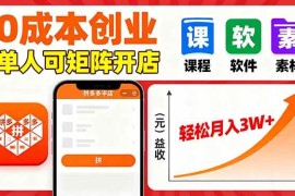 （16047期）拼多多虚拟电商，0成本，单人可矩阵开店，轻松月入3W 