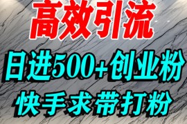 怎么打创业粉？快手求带视角精准引流创业粉，宝妈、学生群体日进500 精准流量