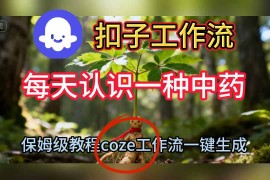 Coze扣子工作流一键生成每天认识一种中药短视频，保姆级搭建教学