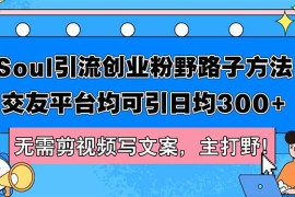 （12281期）Soul引流创业粉野路子方法，交友平台均可引日均300 ，无需剪视频写文案…