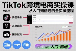 TikTok跨境电商实操课，从入门到精通的全实操流程