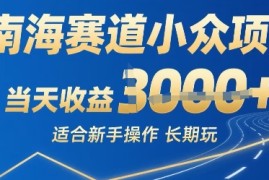 南海赛道小众项目，当天收益1k 适合新手操作可以长期玩