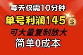 （12027期）每天仅需10分钟，单号利润145 可复制放大 简单0成本