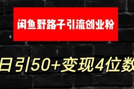大眼闲鱼野路子引流创业粉，日引50 单日变现四位数