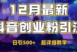 最新公开：12月份抖音日引500 创业粉秘籍