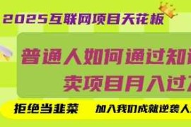 2025互联网项目天花板，普通人如何通过知识付费卖项目月入过W，拒绝当韭菜【揭秘】