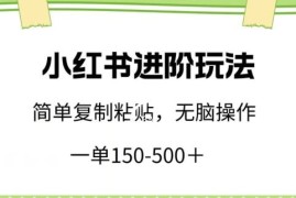 小红书进阶玩法，一单150-500 ，简单复制粘贴，小白也能轻松上手【揭秘】