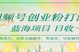 视频号创业粉打法，日入1k，蓝海项目，市场需求大，全程无脑操作，可复制