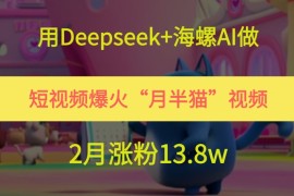 用Deepseek 海螺AI做短视频爆火“月半猫”视频，2月涨粉13.8w