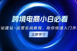 （13503期）跨境电商小白必看！独立站建站 运营实战教程，助你快速入门并精通