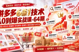 拼多多6杀1技术从0到爆实战课-64期：机会商品 防比价 限量购 全站营销 直通车 裂变完整六步打法