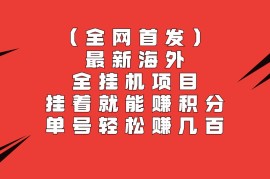 全网首发，最新海外全挂机项目，挂着就能赚积分，单号轻松赚几百